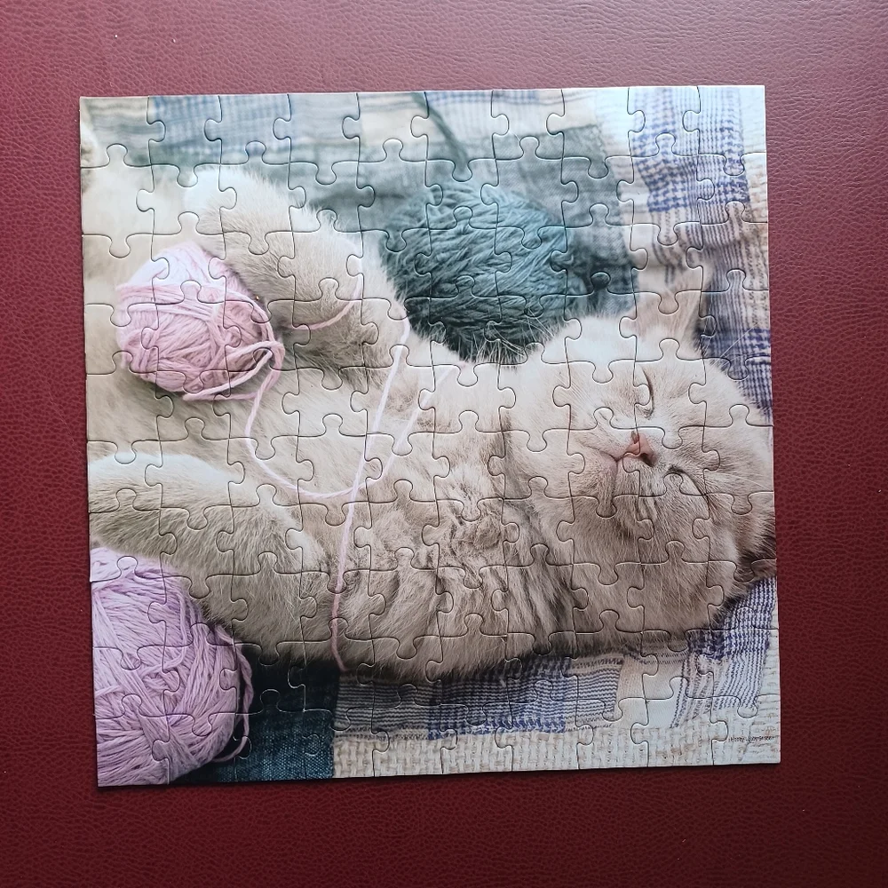 Cat Kitten Jigsaw Puzzle 100 Pieces Easy Kids Girls Pink Kitty